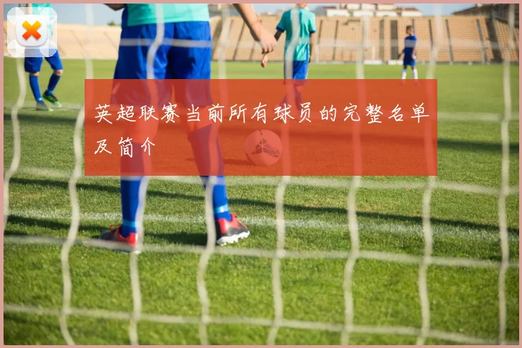 英超联赛当前所有球员的完整名单及简介