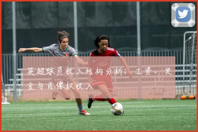 英超球员收入结构分析：工资、奖金与肖像权收入