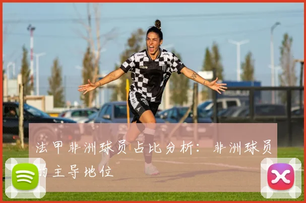 法甲非洲球员占比分析：非洲球员的主导地位