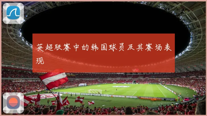 英超联赛中的韩国球员及其赛场表现