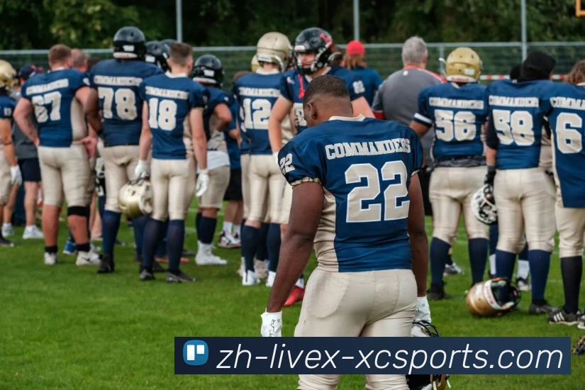 多媒体互动体验