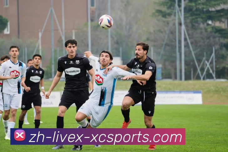 杏彩体育APP 高清赛事图